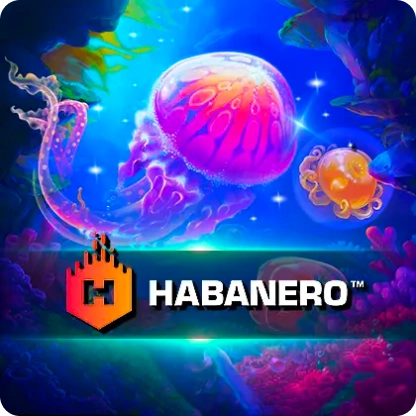 ICON Provider 21_result